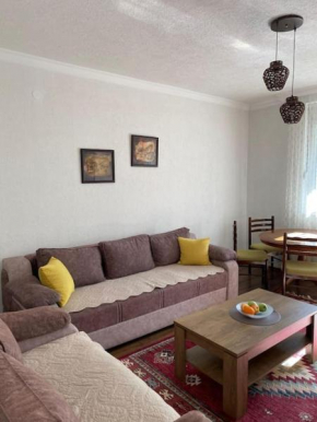 Novi Pazar Center Zone